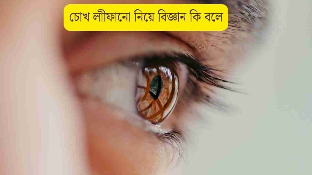 বাম চোখ লাফালে কি হয়